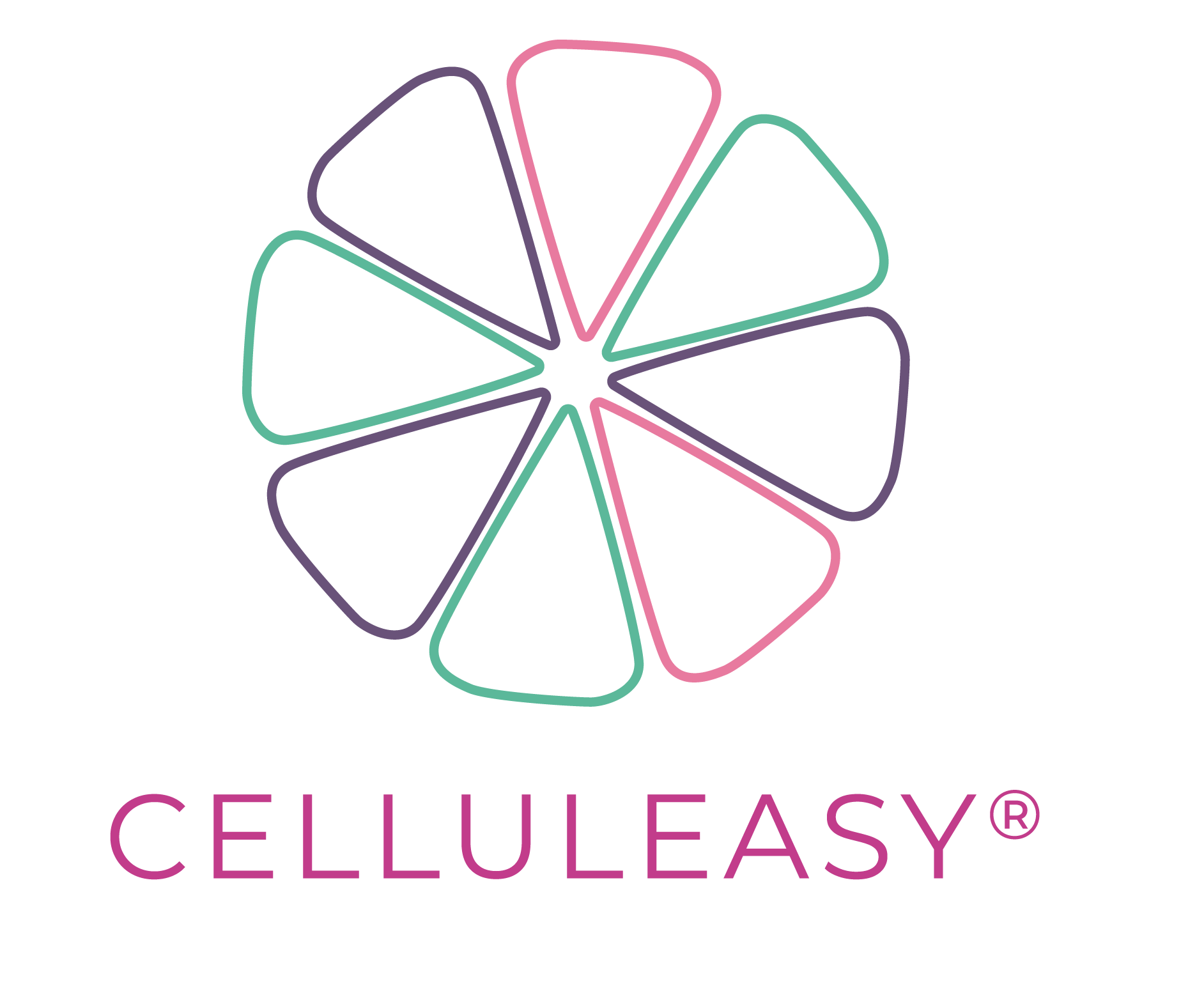 Logo Celluleasy
